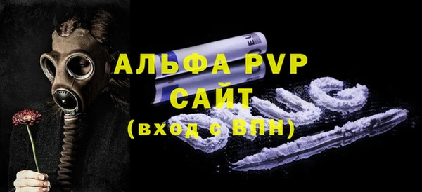 PSILOCYBIN Гусиноозёрск