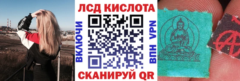 Марки N-bome 1500мкг Дубовка