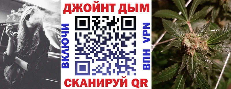 Конопля сатива  Дубовка 
